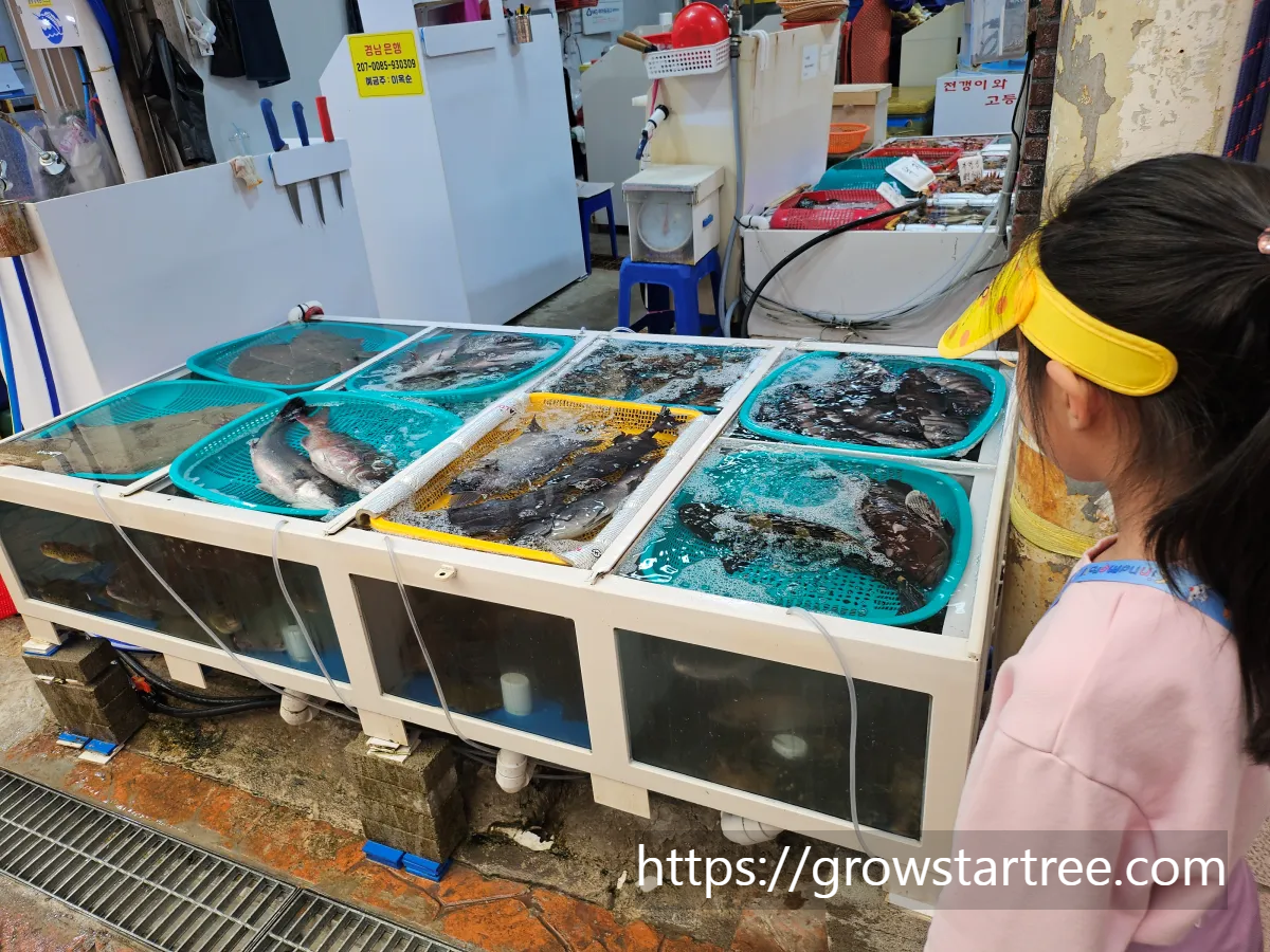 통영 중앙전통시장 물고기