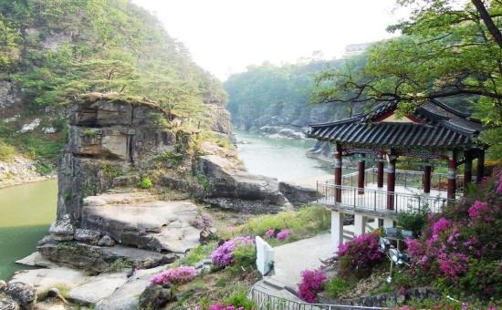 고석정 꽃밭축제 주차장