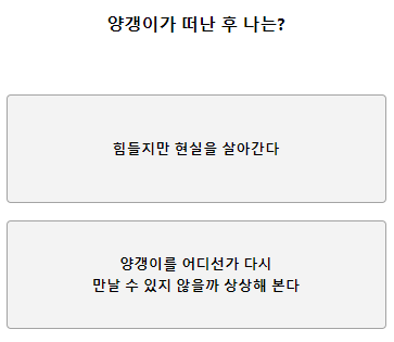 테스트잇 양갱 성격 테스트