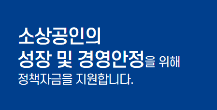 소상공인정책자금