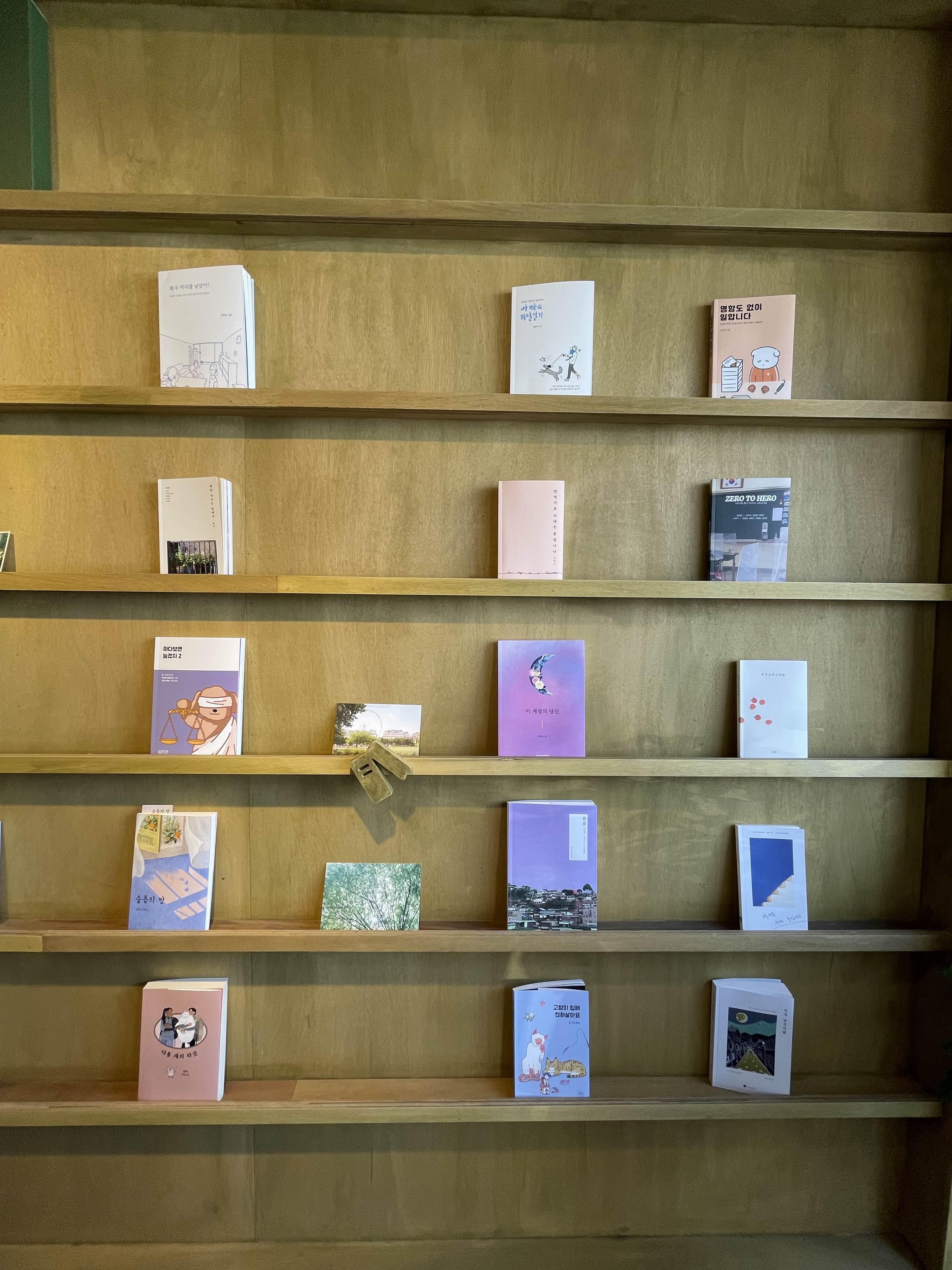 책방 책장 사진