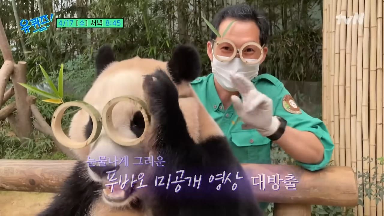 푸바오, 송영관 사육사