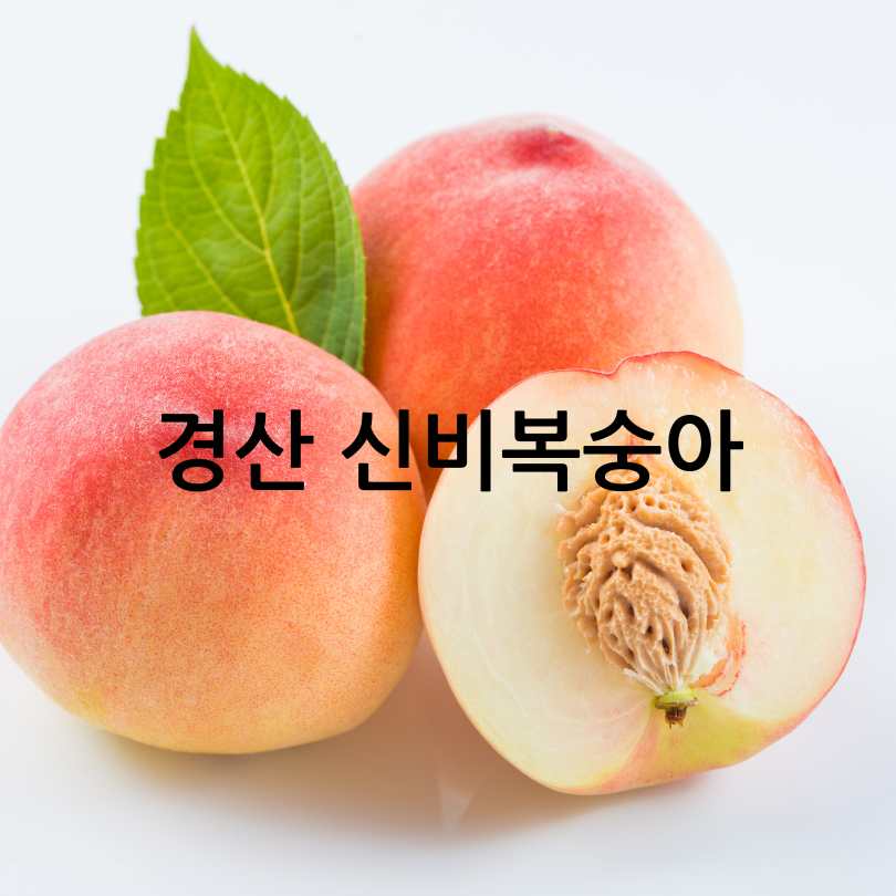 경산 신비복숭아 카페 축제 2025 일정 및 참여 카페