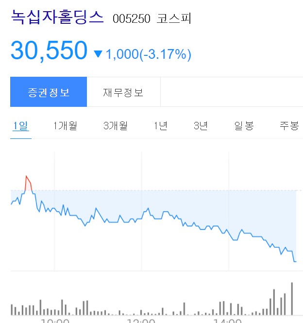녹십자홀딩스-주가