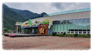 영월곤충박물관