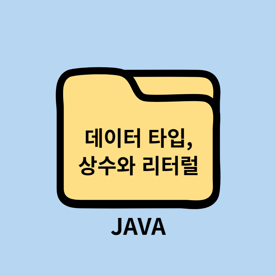 JAVA 데이터 타입(Data Type)&#44; 상수(Constance)와 리터럴(Literal)