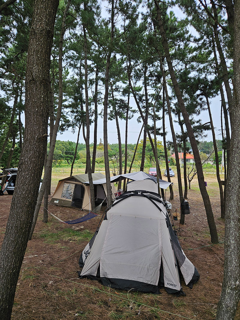 아름뜰 캠핑장 피칭3