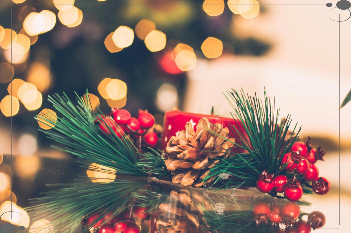 🎄 서울이 빛난다! 롯데백화점, 3만 개 LED '스위트 홀리데이' 크리스마스 장식 점등 (본점/잠실점)