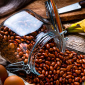 알부민 많은 음식