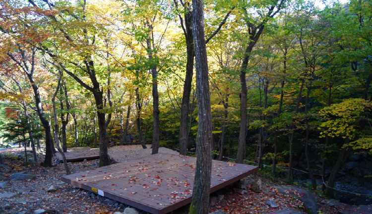 운문산 자연휴양림