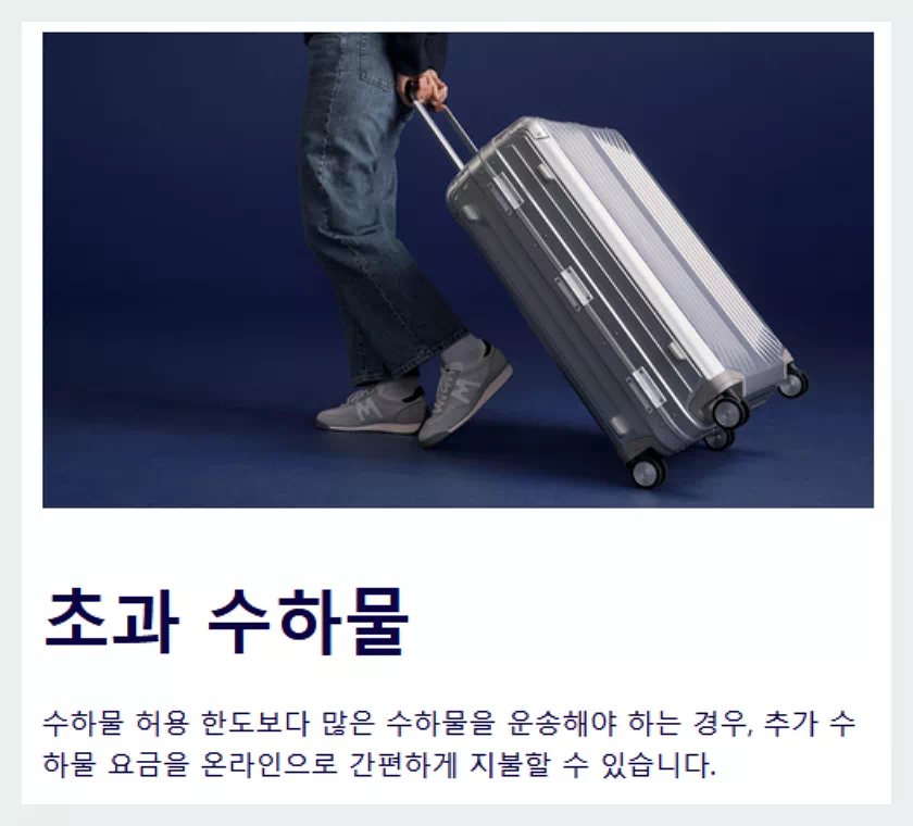 핀에어 초과수하물