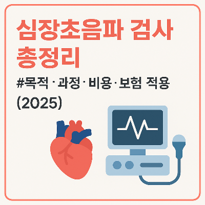 심장초음파 검사 총정리｜목적&middot;과정&middot;비용&middot;보험 적용 (2025)