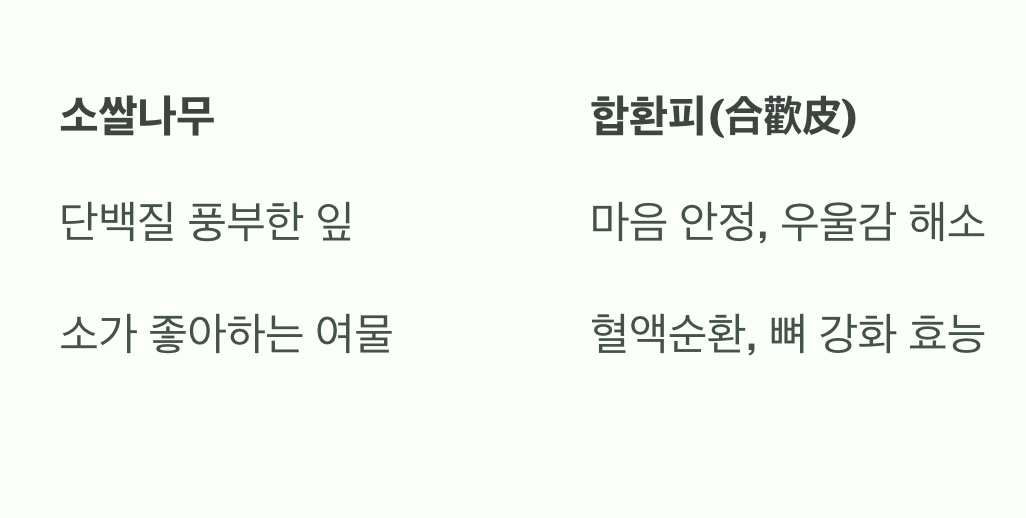 소도 잘 먹는 맛있는 잎