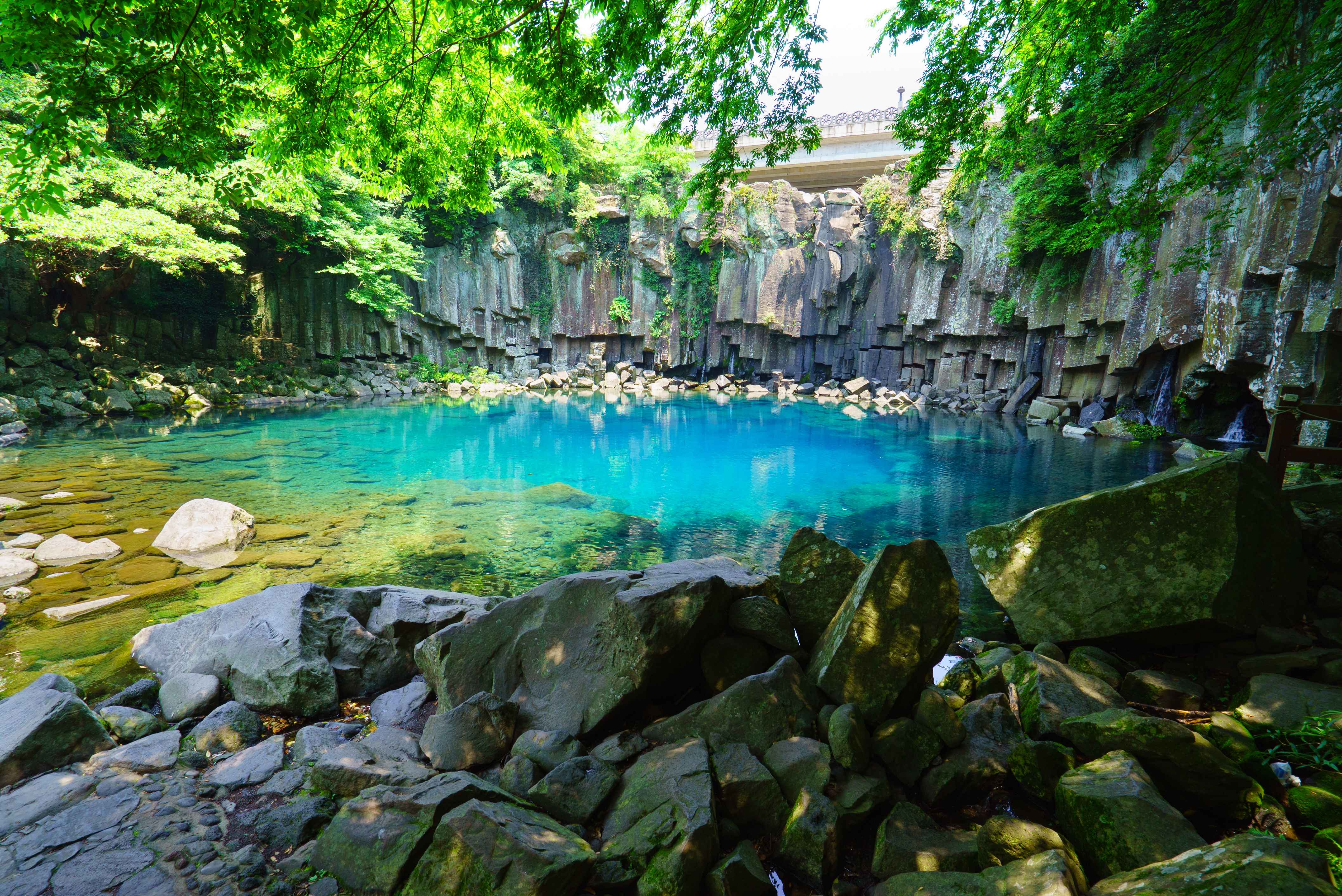 제주도 천제연 폭포 사진