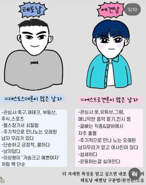 에겐남 테토남 뜻 특징 차이 구분법
