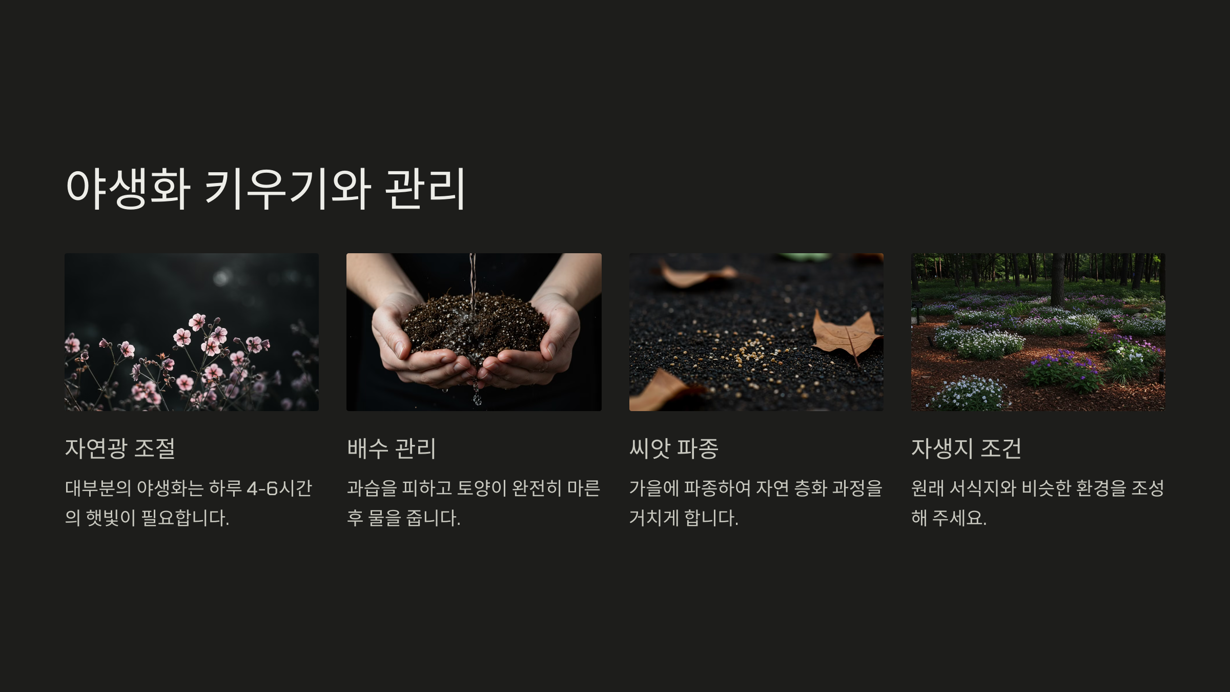 봄꽃 종류 야생화 종류 정리