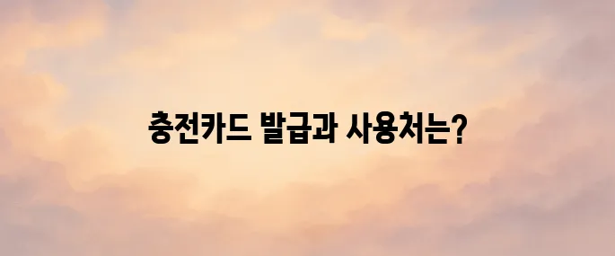 환경부 전기차 충전카드 발급 방법 및 사용처 총정리 (2025년 최신)