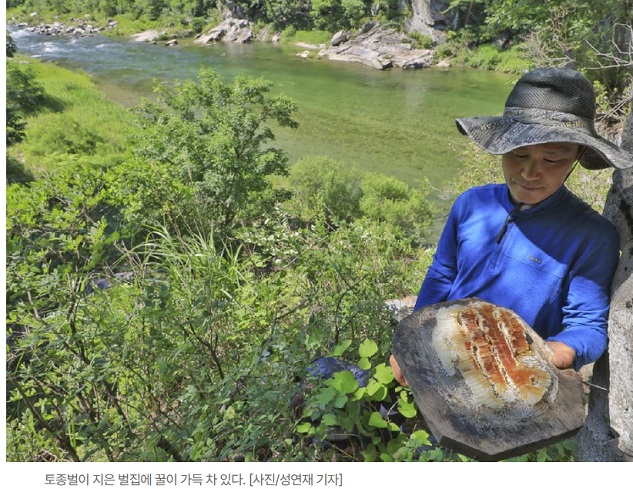 동네한바퀴-봉화-토종벌꿀-원곡마을-윤재원
