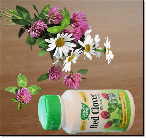 레드클로버 및 보충제