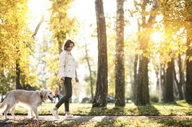 생명보험과 사망보험, 무엇이 다른가?-산책