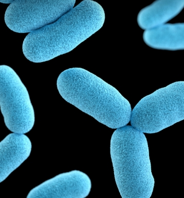 ์ค๋
๊ฑด๊ฐ๊ธฐ๋ฅ์ํ ์ถ์ฒ