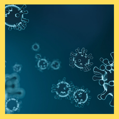 사람메타뉴모바이러스증상치료제