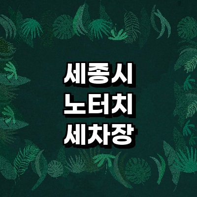 세종시 노터치 세차