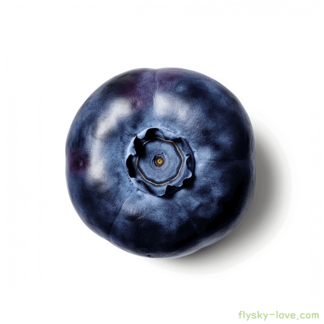 빌베리 먹는 법