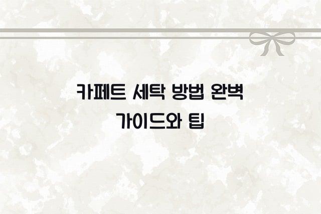 카페트 세탁 방법