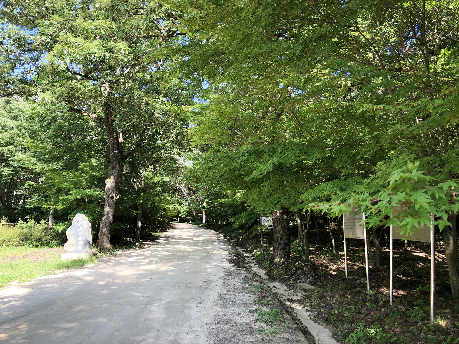 의성 가볼만한곳 베스트10