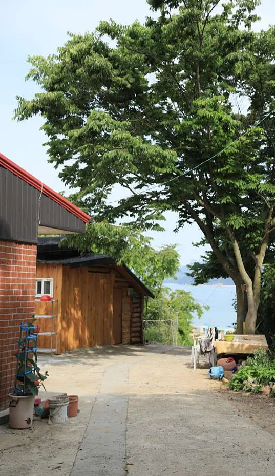 고대도