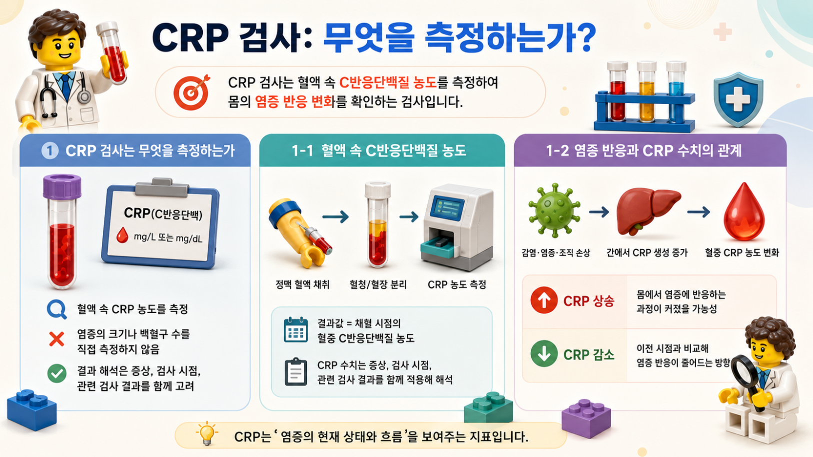 염증 신호가 간에 전달되어 CRP 생성이 증가하고 6~12시간 상승, 24~48시간 최고치에 도달하는 과정을 보여주는 레고 스타일 메디컬 인포그래픽