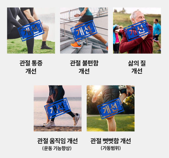 옵티머스트 관절약 가격 효능 (2개월 섭취 후기)