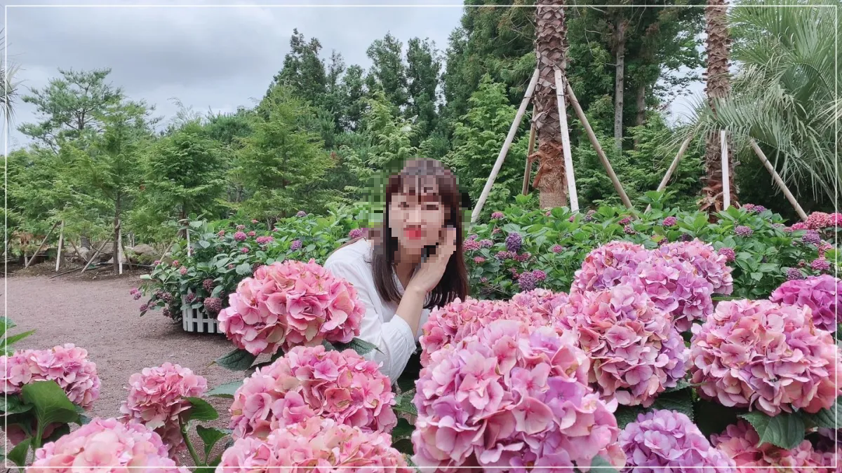 수국정원_분홍수국_나무길_여자1명