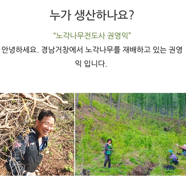 모리산-노각차-권영익