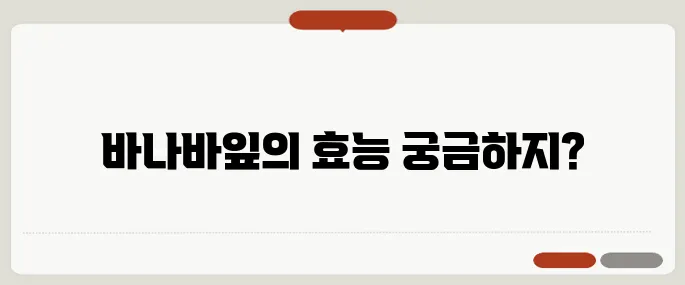 바나바잎 혈당조절 효능 살펴보기 당뇨 전단계일 때 필수