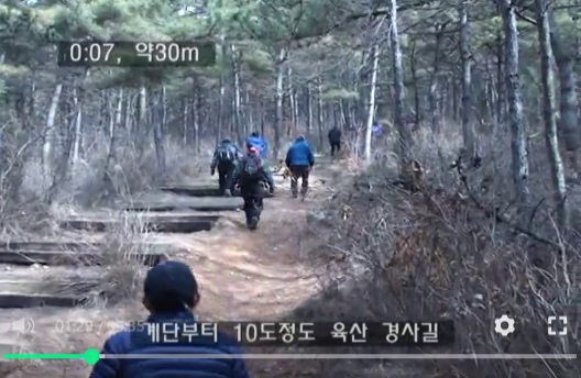 소나무 숲의 계단과 흙길을 오르는 일행