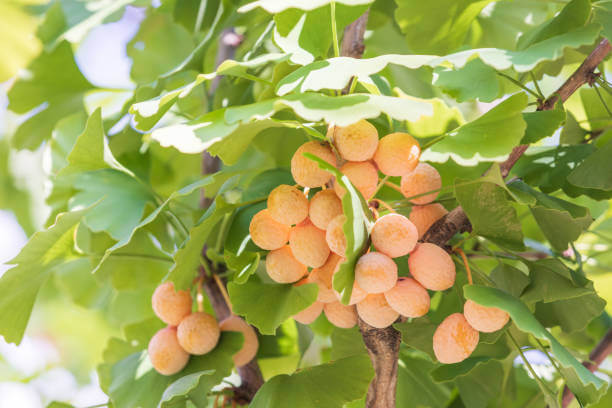 이명 치료 방법 총정리! 소리 없는 고통, 벗어나는 법