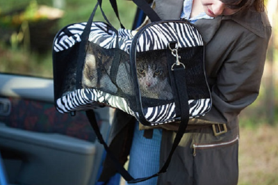 케이지에 넣어 두다