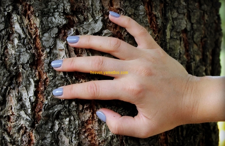 손톱이 잘 부러지는 이유