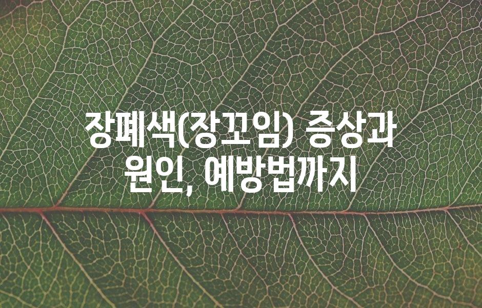 샘플 (43)
