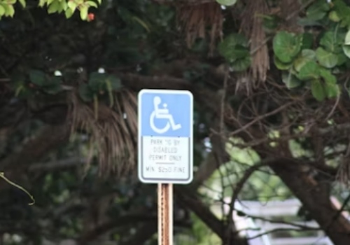 장애인 차량 스티커 발급