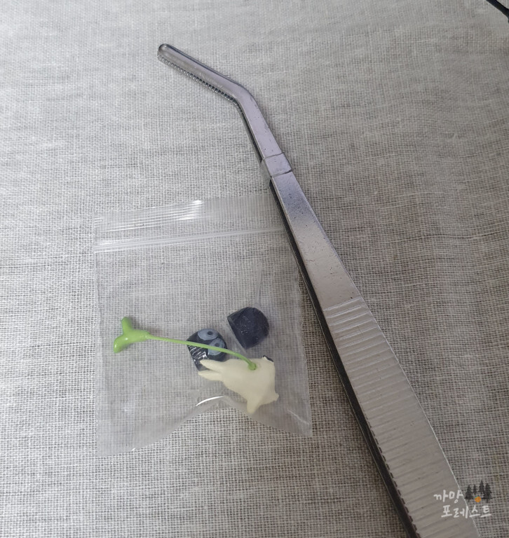 테라리움 피규어