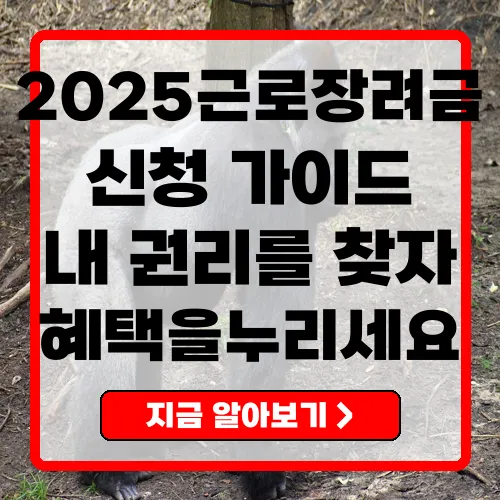 2025 근로장려금 신청 가이드