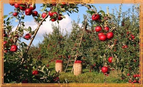 초등학교 여름방학기간 아이와 가볼만한곳
