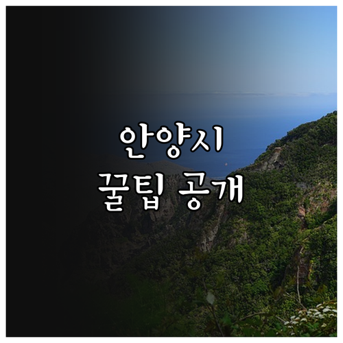 2025 안양시 대학생 행정체험연수 ..