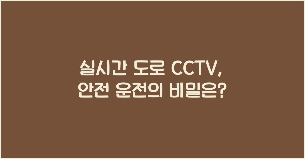 실시간 도로 cctv