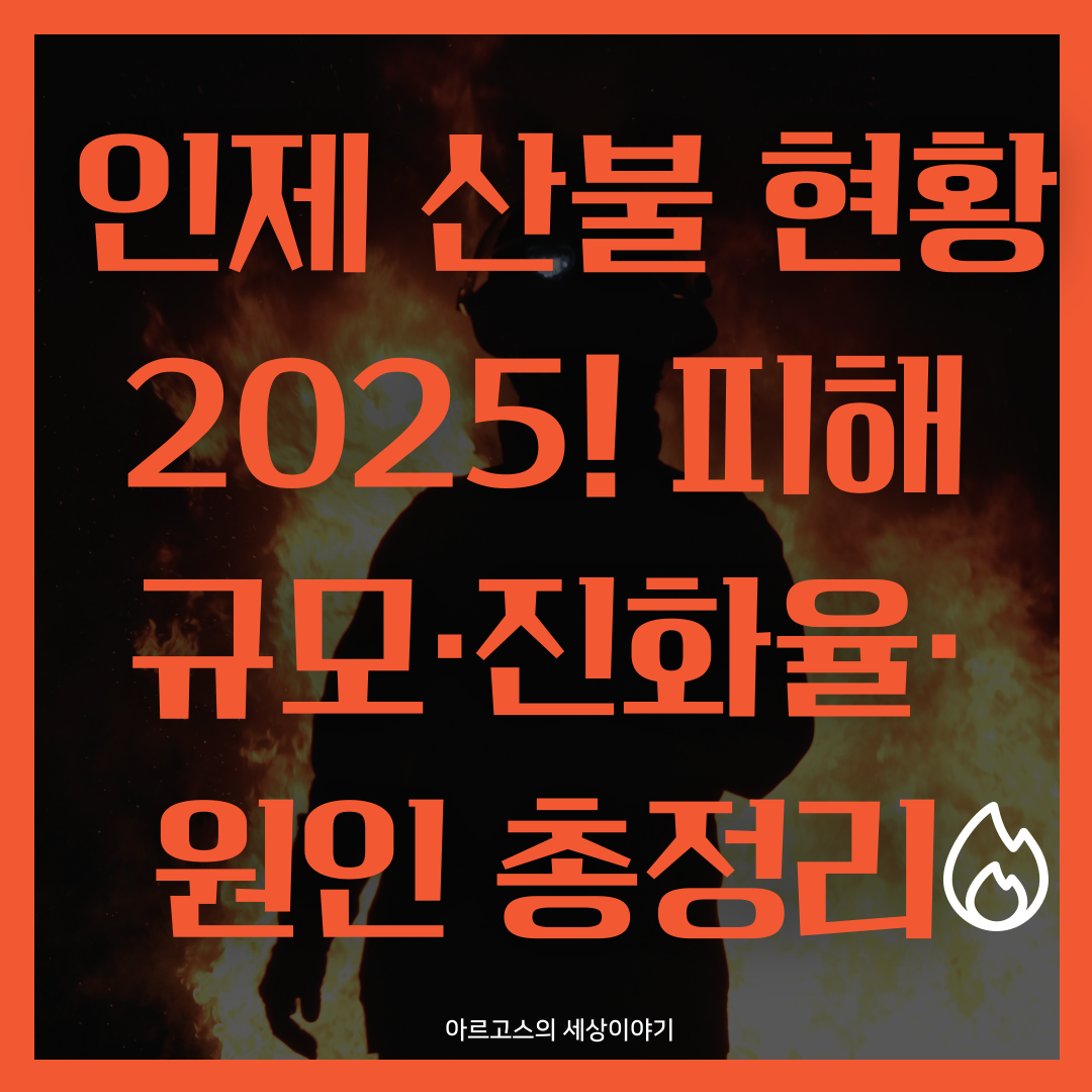 🔥 인제 산불 현황 2025! 피해 규모·진화율·원인 총정리 - 대표이미지