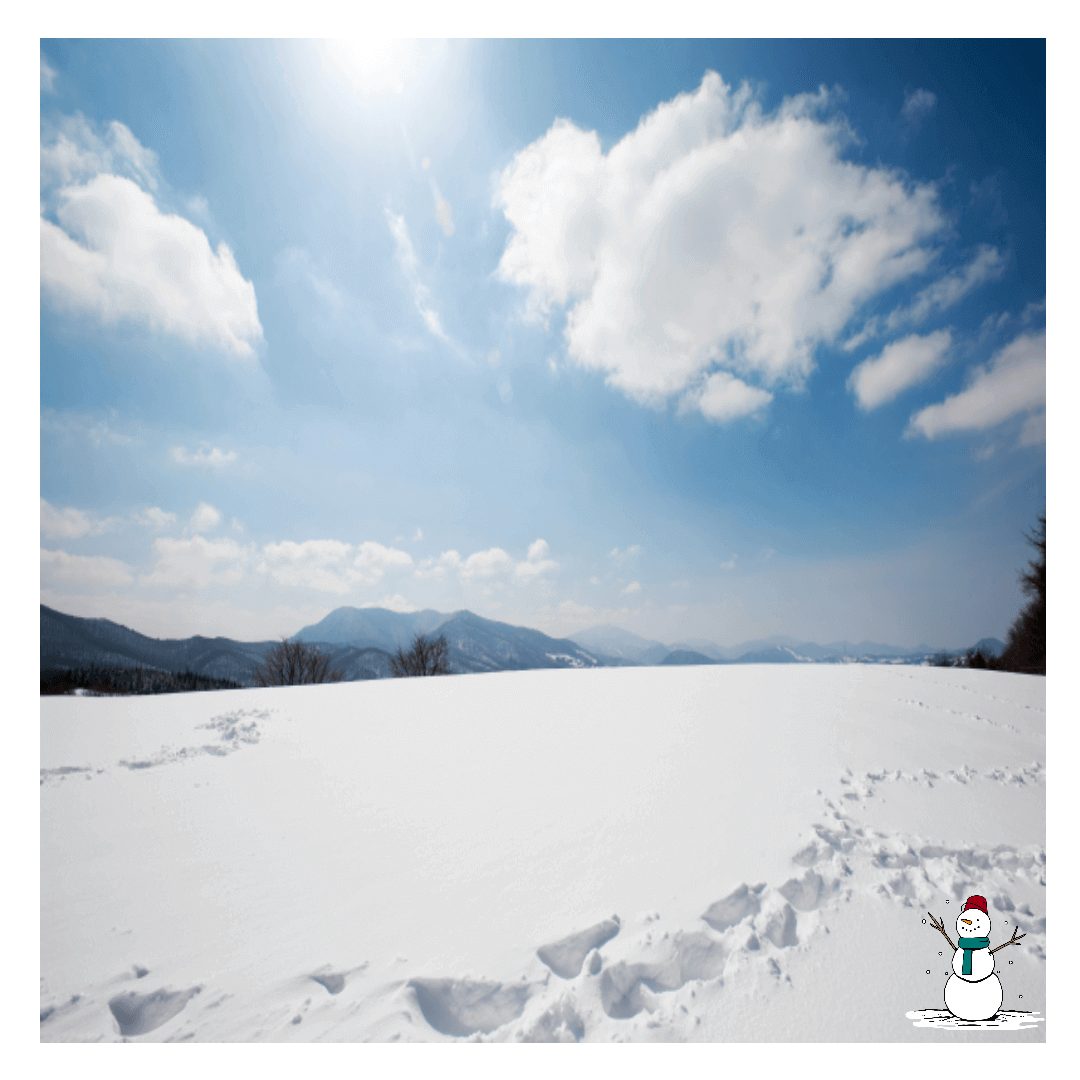 대지에 눈이 온 사진