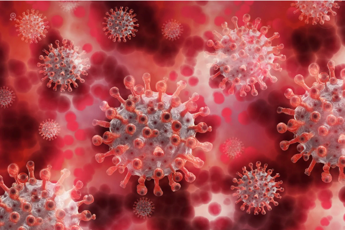 임신 중 필수 검사, Rubella 항체검사 총정리 (IgM&middot;IgG&middot;Avidity)
